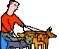Dog_walker_animation